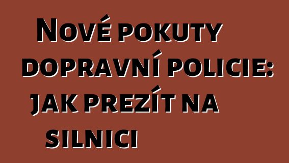 Nové pokuty dopravní policie: jak přežít na silnici