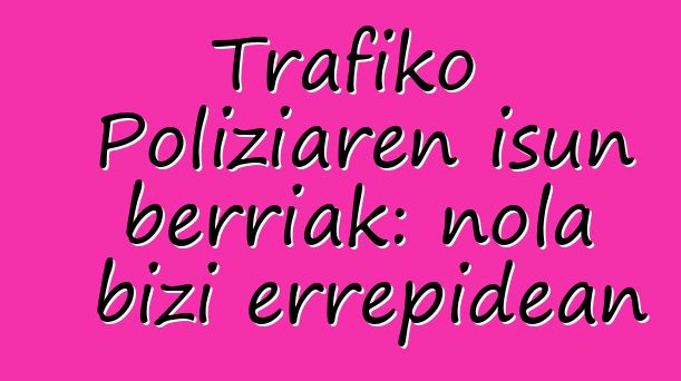 Trafiko Poliziaren isun berriak: nola bizi errepidean