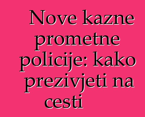 Nove kazne prometne policije: kako preživjeti na cesti