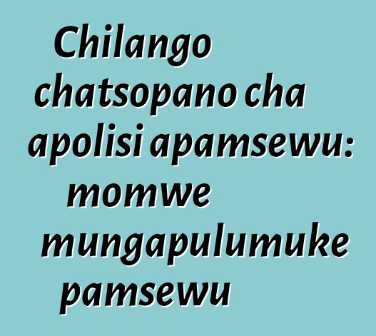 Chilango chatsopano cha apolisi apamsewu: momwe mungapulumuke pamsewu