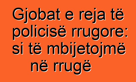 Gjobat e reja të policisë rrugore: si të mbijetojmë në rrugë