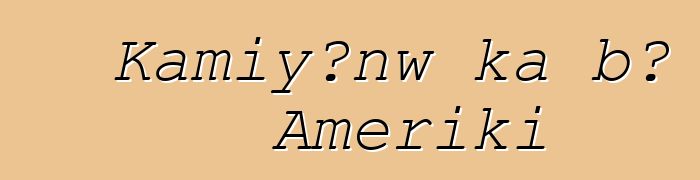 Kamiyɔnw ka bɔ Ameriki