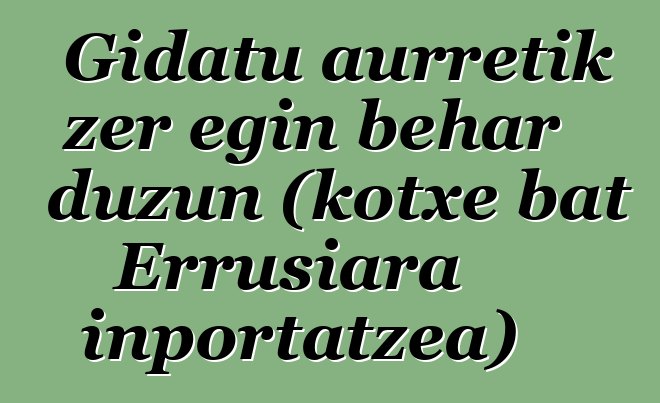 Gidatu aurretik zer egin behar duzun (kotxe bat Errusiara inportatzea)