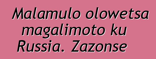 Malamulo olowetsa magalimoto ku Russia. Zazonse