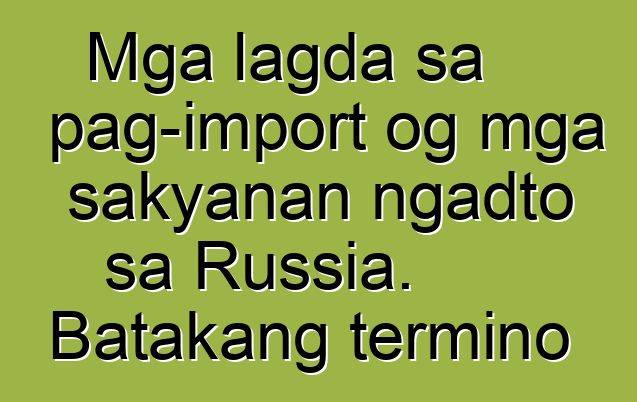 Mga lagda sa pag-import og mga sakyanan ngadto sa Russia. Batakang termino