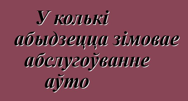 У колькі абыдзецца зімовае абслугоўванне аўто