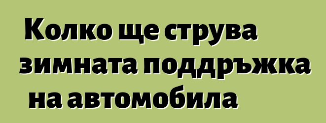 Колко ще струва зимната поддръжка на автомобила