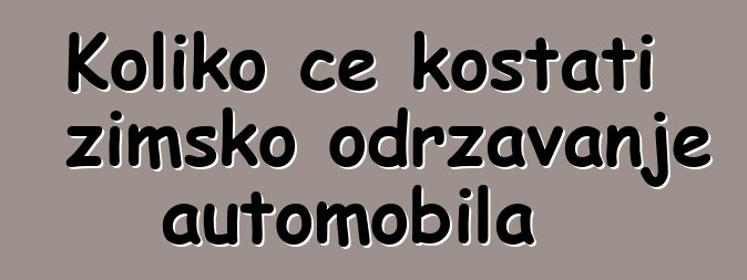 Koliko će koštati zimsko održavanje automobila