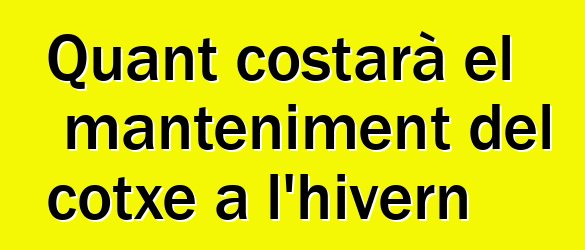 Quant costarà el manteniment del cotxe a l'hivern