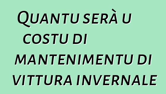 Quantu serà u costu di mantenimentu di vittura invernale
