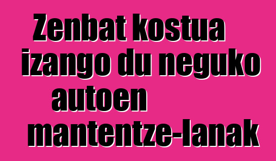 Zenbat kostua izango du neguko autoen mantentze-lanak