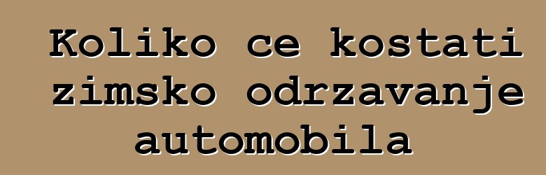 Koliko će koštati zimsko održavanje automobila