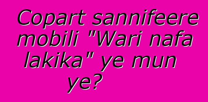 Copart sannifeere mobili "Wari nafa lakika" ye mun ye?