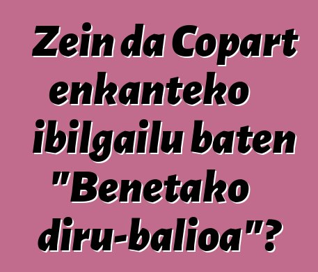 Zein da Copart enkanteko ibilgailu baten "Benetako diru-balioa"?