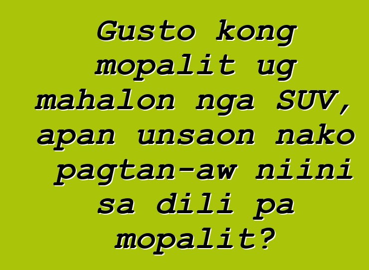 Gusto kong mopalit ug mahalon nga SUV, apan unsaon nako pagtan-aw niini sa dili pa mopalit?