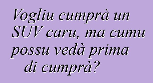 Vogliu cumprà un SUV caru, ma cumu possu vedà prima di cumprà?