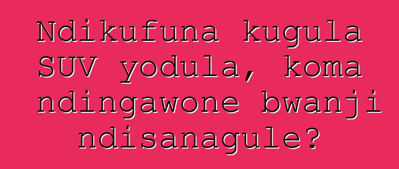 Ndikufuna kugula SUV yodula, koma ndingawone bwanji ndisanagule?