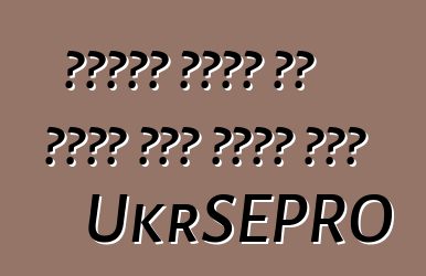 የዩክሬን ጉምሩክ ያለ መዝገብ መኪና መስጠት ጀመረ UkrSEPRO