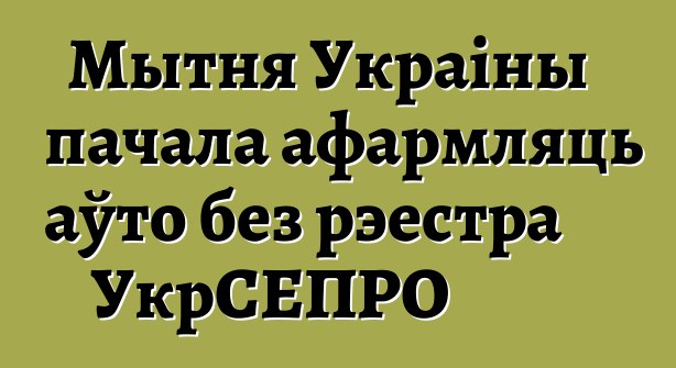 Мытня Украіны пачала афармляць аўто без рэестра УкрСЕПРО