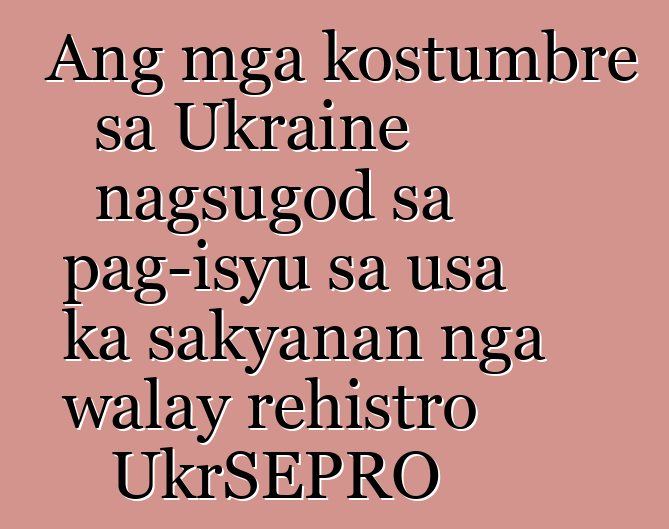 Ang mga kostumbre sa Ukraine nagsugod sa pag-isyu sa usa ka sakyanan nga walay rehistro UkrSEPRO