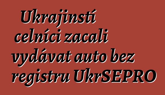 Ukrajinští celníci začali vydávat auto bez registru UkrSEPRO