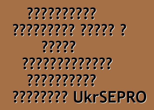 Ուկրաինայի մաքսայինը սկսել է առանց գրանցամատյանի ավտոմեքենա թողարկել UkrSEPRO