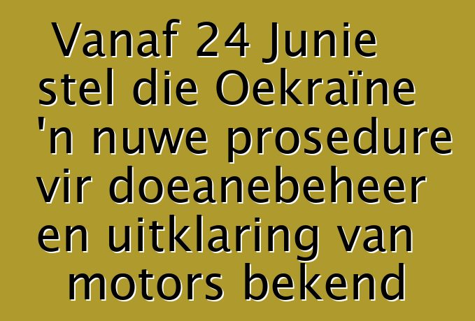 Vanaf 24 Junie stel die Oekraïne 'n nuwe prosedure vir doeanebeheer en uitklaring van motors bekend