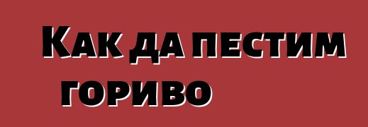 Как да пестим гориво