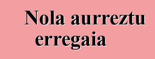 Nola aurreztu erregaia