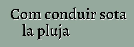 Com conduir sota la pluja