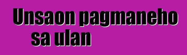 Unsaon pagmaneho sa ulan