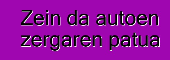 Zein da autoen zergaren patua