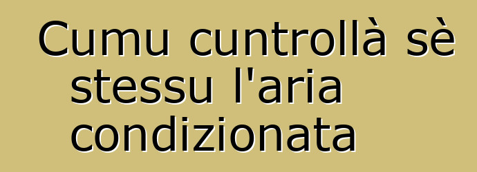 Cumu cuntrollà sè stessu l'aria condizionata