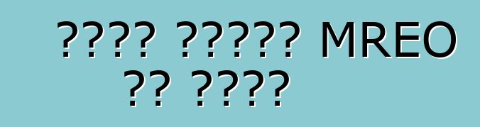 جدول أعمال MREO في كييف