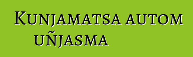 Kunjamatsa autom uñjasma