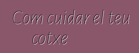 Com cuidar el teu cotxe