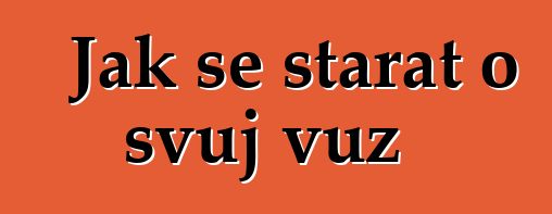 Jak se starat o svůj vůz