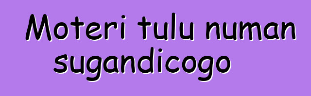 Motɛri tulu ɲuman sugandicogo