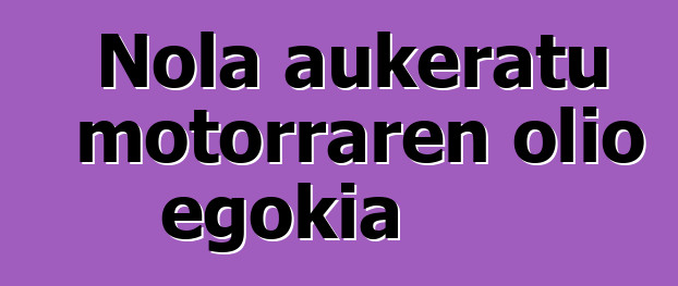 Nola aukeratu motorraren olio egokia