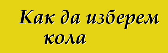 Как да изберем кола
