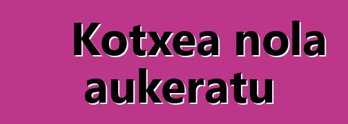 Kotxea nola aukeratu