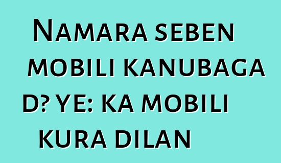Namara sɛbɛn mobili kanubaga dɔ ye: ka mobili kura dilan