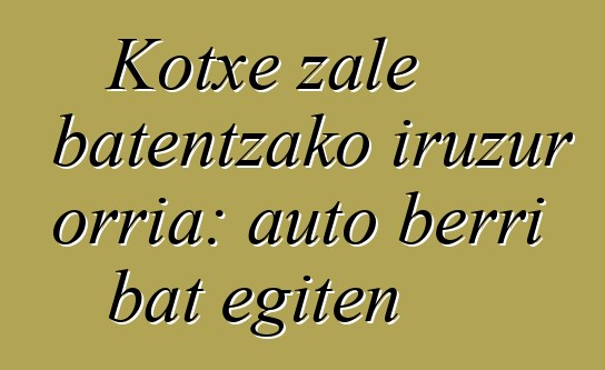 Kotxe zale batentzako iruzur orria: auto berri bat egiten