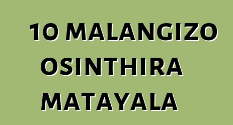 10 malangizo osinthira matayala