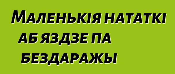 Маленькія нататкі аб яздзе па бездаражы