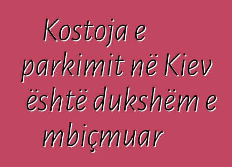 Kostoja e parkimit në Kiev është dukshëm e mbiçmuar