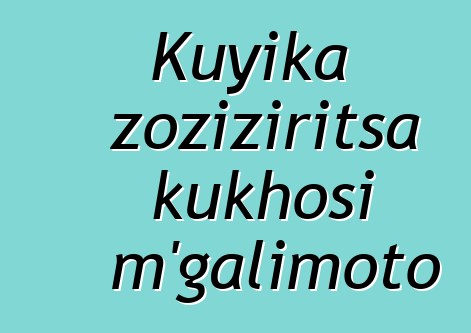 Kuyika zoziziritsa kukhosi m'galimoto