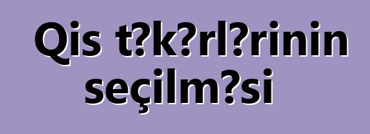 Qış təkərlərinin seçilməsi