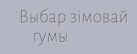 Выбар зімовай гумы