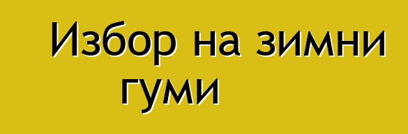 Избор на зимни гуми